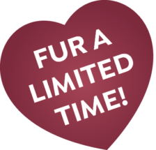 fur-limited-time-heart