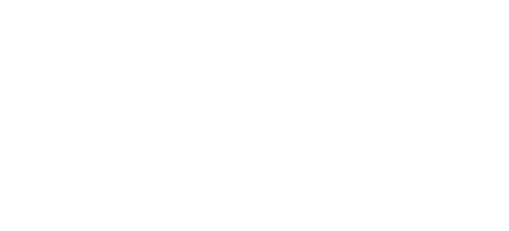 White Fox Broadcasting Company logo featuring a stylized fox alongside the word "FOX" in bold capital letters with horizontal lines below, evoking a camp-inspired footer design.